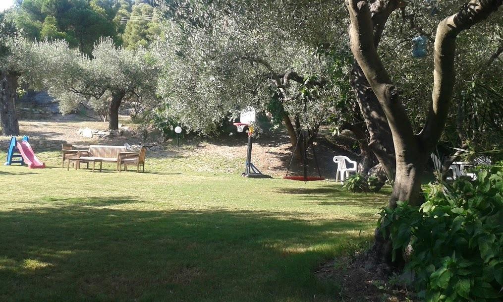 Spathies Kalogria  Oda fotoğraf