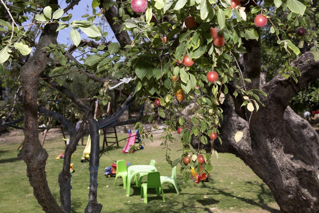 Spathies Kalogria  Dış mekan fotoğraf